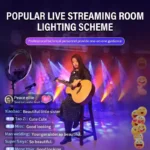 popular-live-streaming-room-lighting-solution-800x800-131